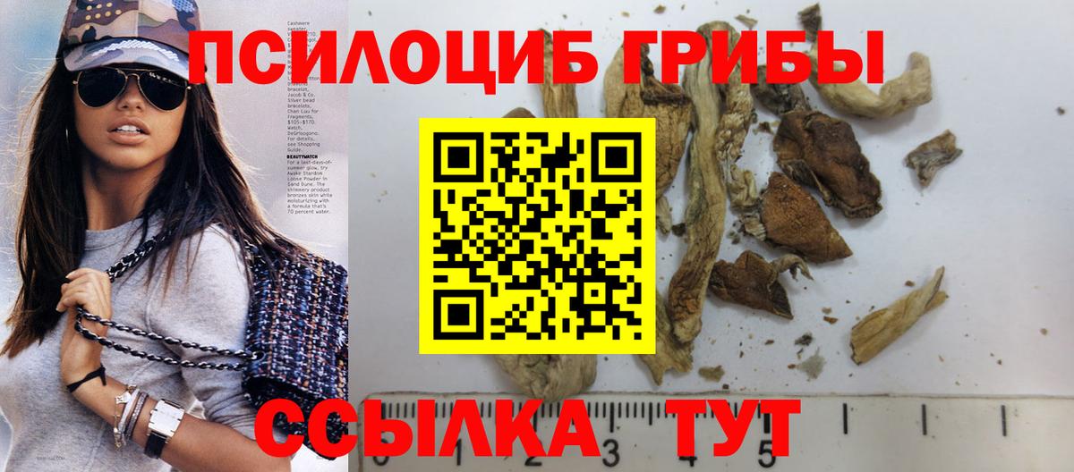 Псилоцибиновые грибы Magic Shrooms  Вход с VPN  Кропоткин 